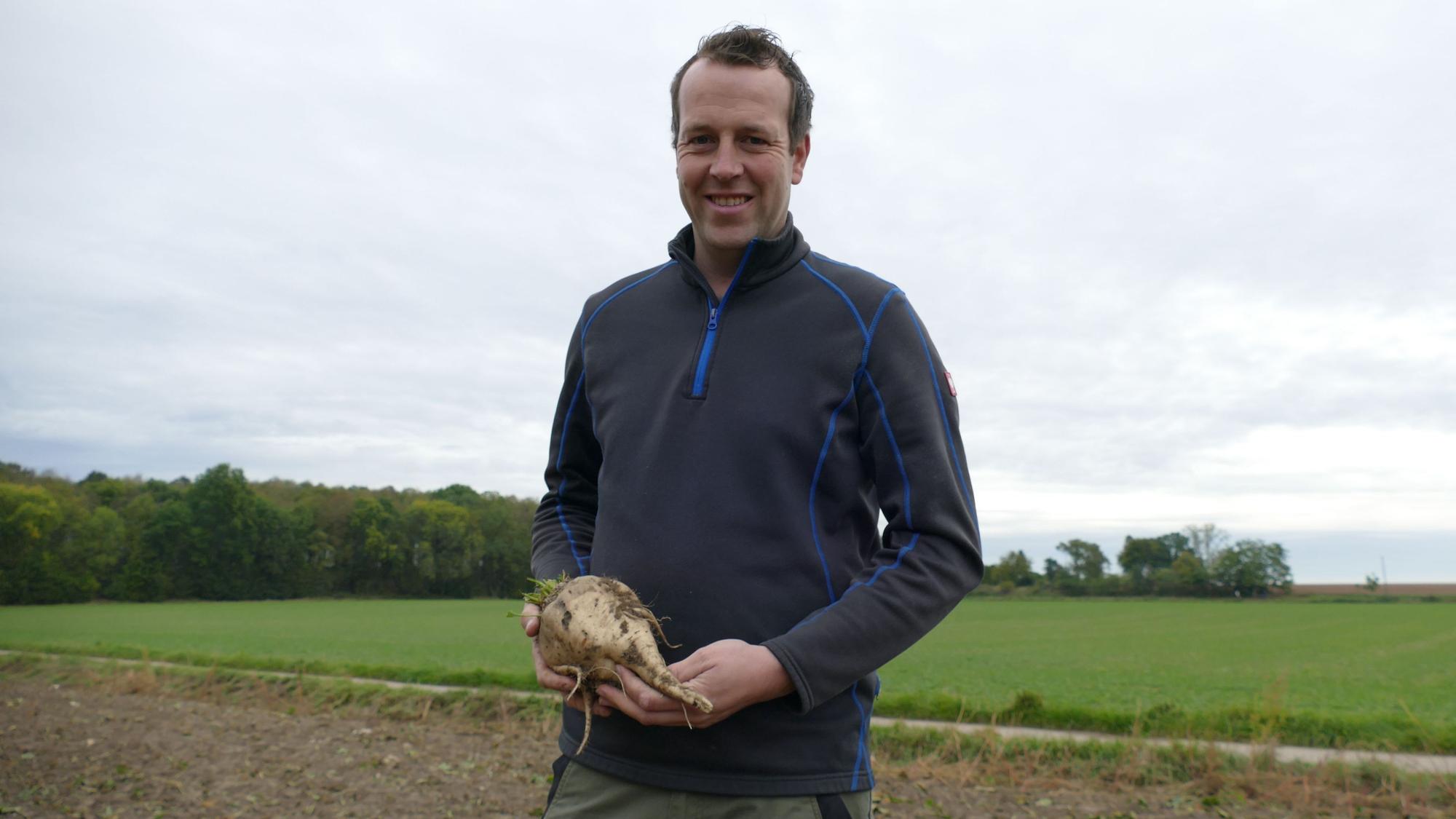 Landwirt Stefan Werres zeigt eine „Prachtrübe“, genau so sollen die Ackerfrüchte zur Erntezeit aussehen.