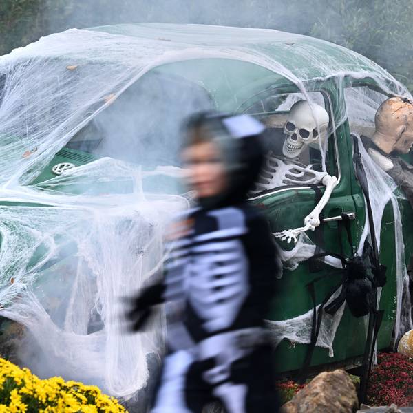 Ein Kind geht an einem zu Halloween mit Netz und Skeletten geschmückten alten VW Käfer vorbei.