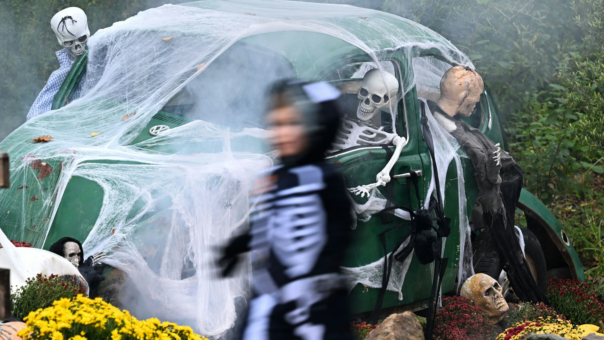 Ein Kind geht an einem zu Halloween mit Netz und Skeletten geschmückten alten VW Käfer vorbei.