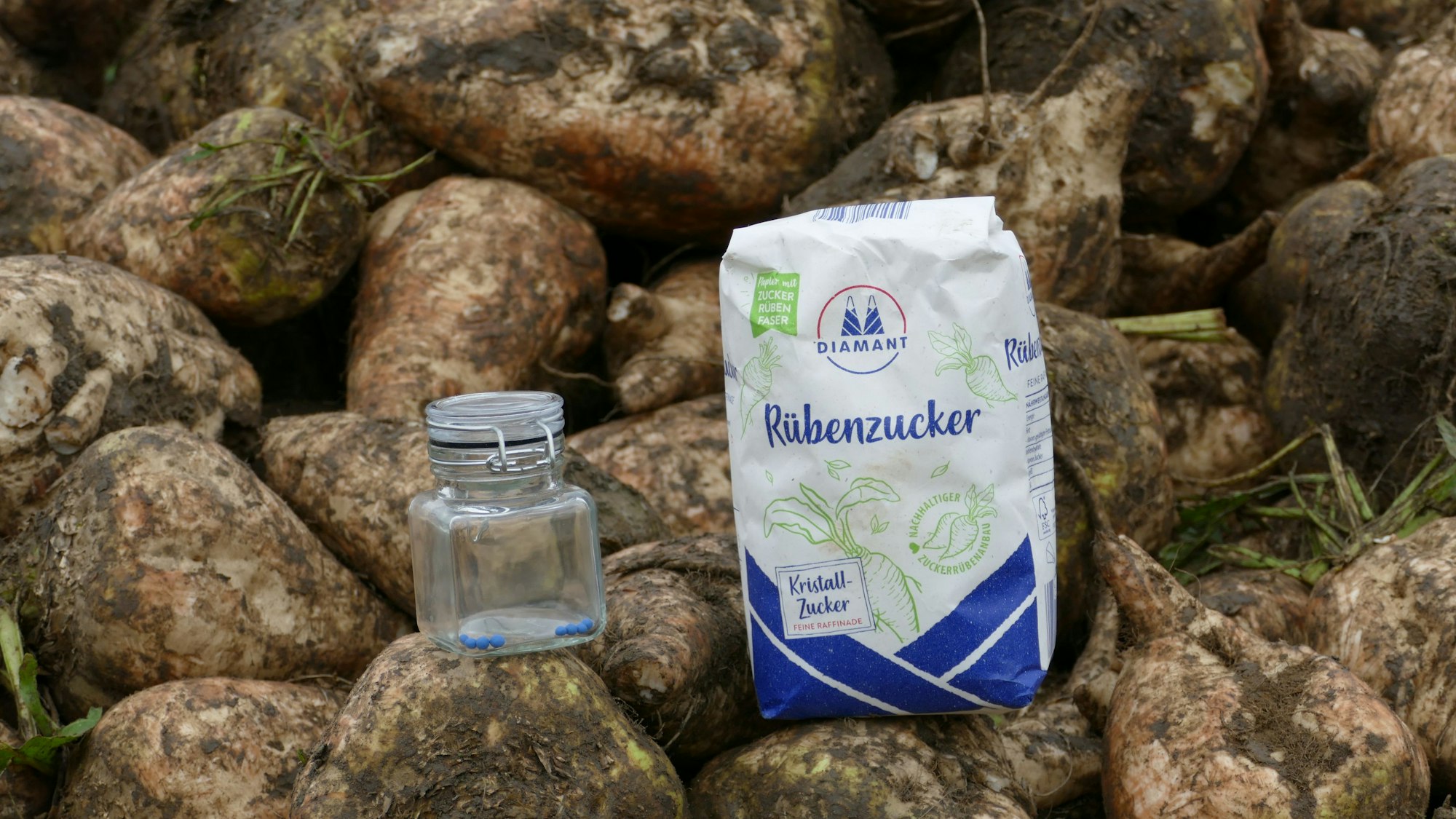 Spannend, was aus ein paar kleinen Kügelchen wird: Sieben Rüben sind für ein Kilo Zucker notwendig.