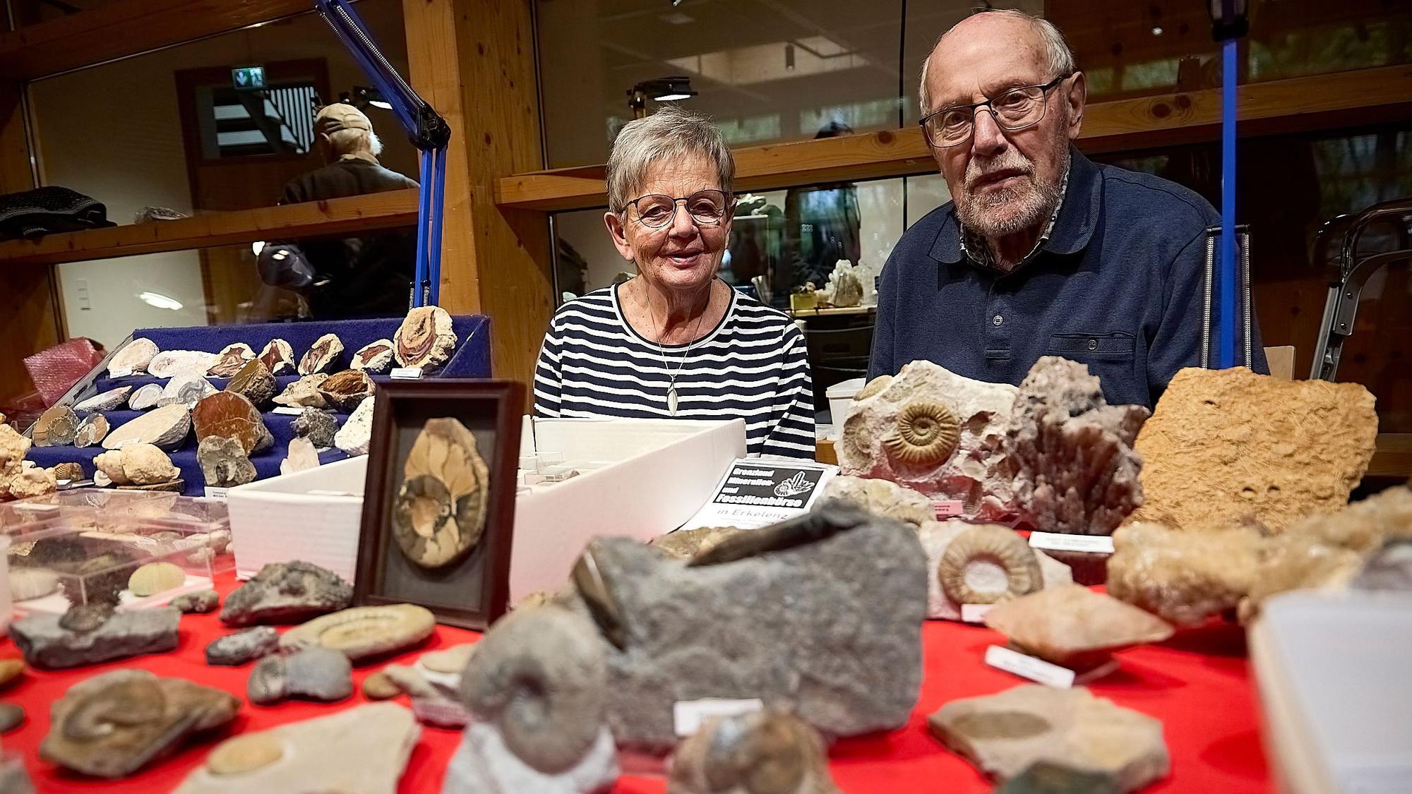 Ein älteres Ehepaar steht hinter ausgestellten Fossilien.