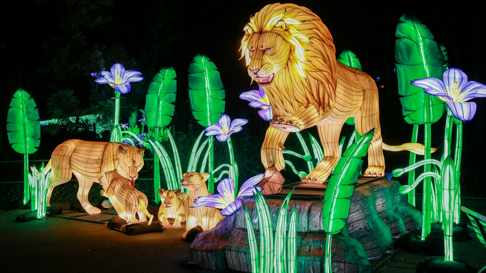 China Lights im Kölner Zoo 2024.