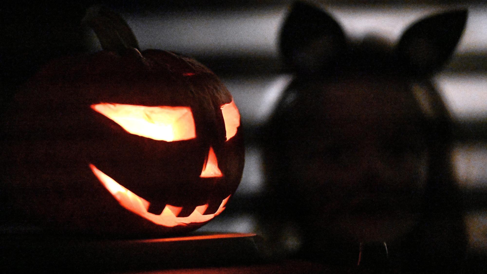 Ein Kürbis steht zu Halloween vor einem Haus. (Arachivbild)