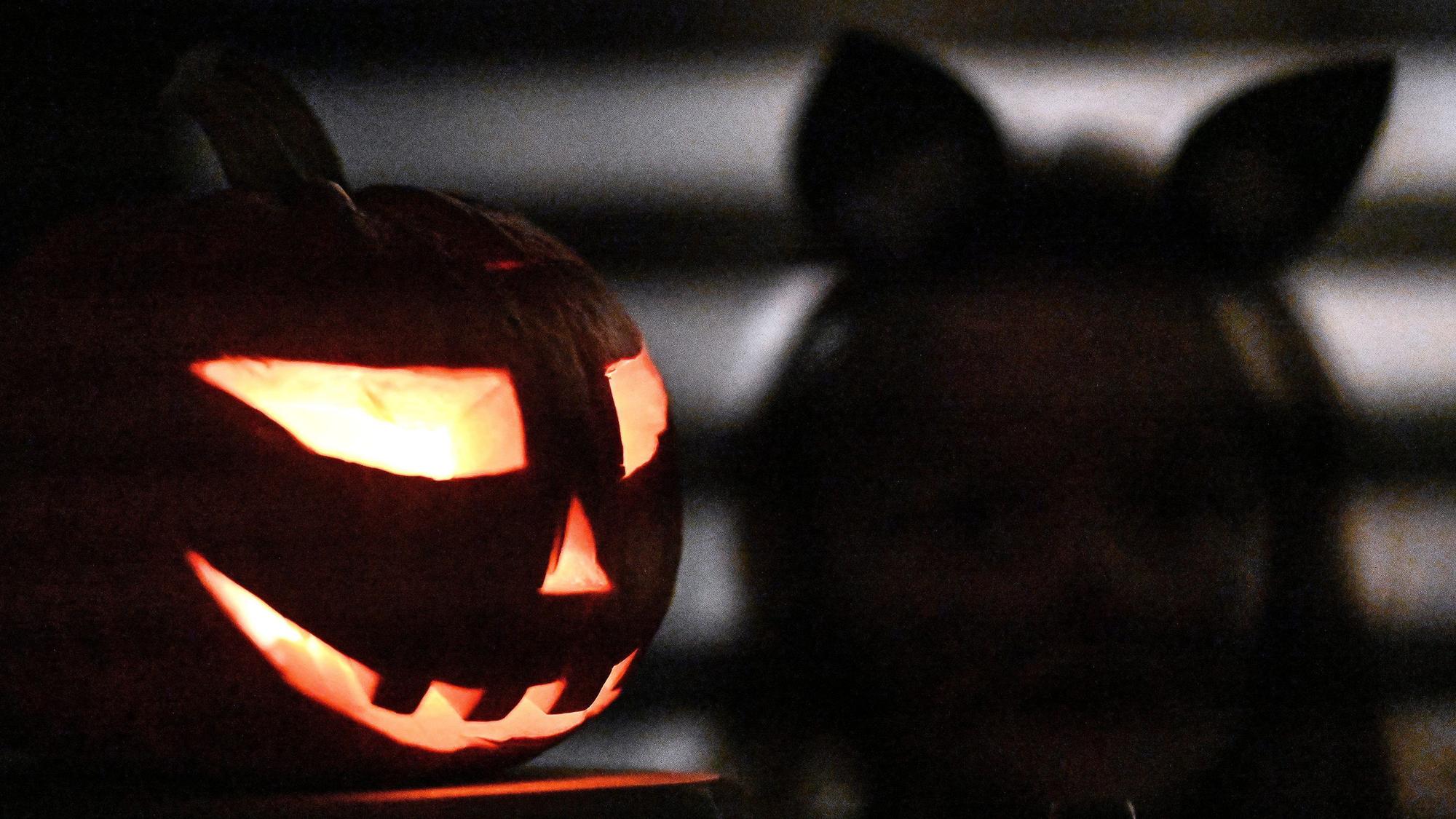 Ein Kürbis steht zu Halloween vor einem Haus. (Symbolbild)