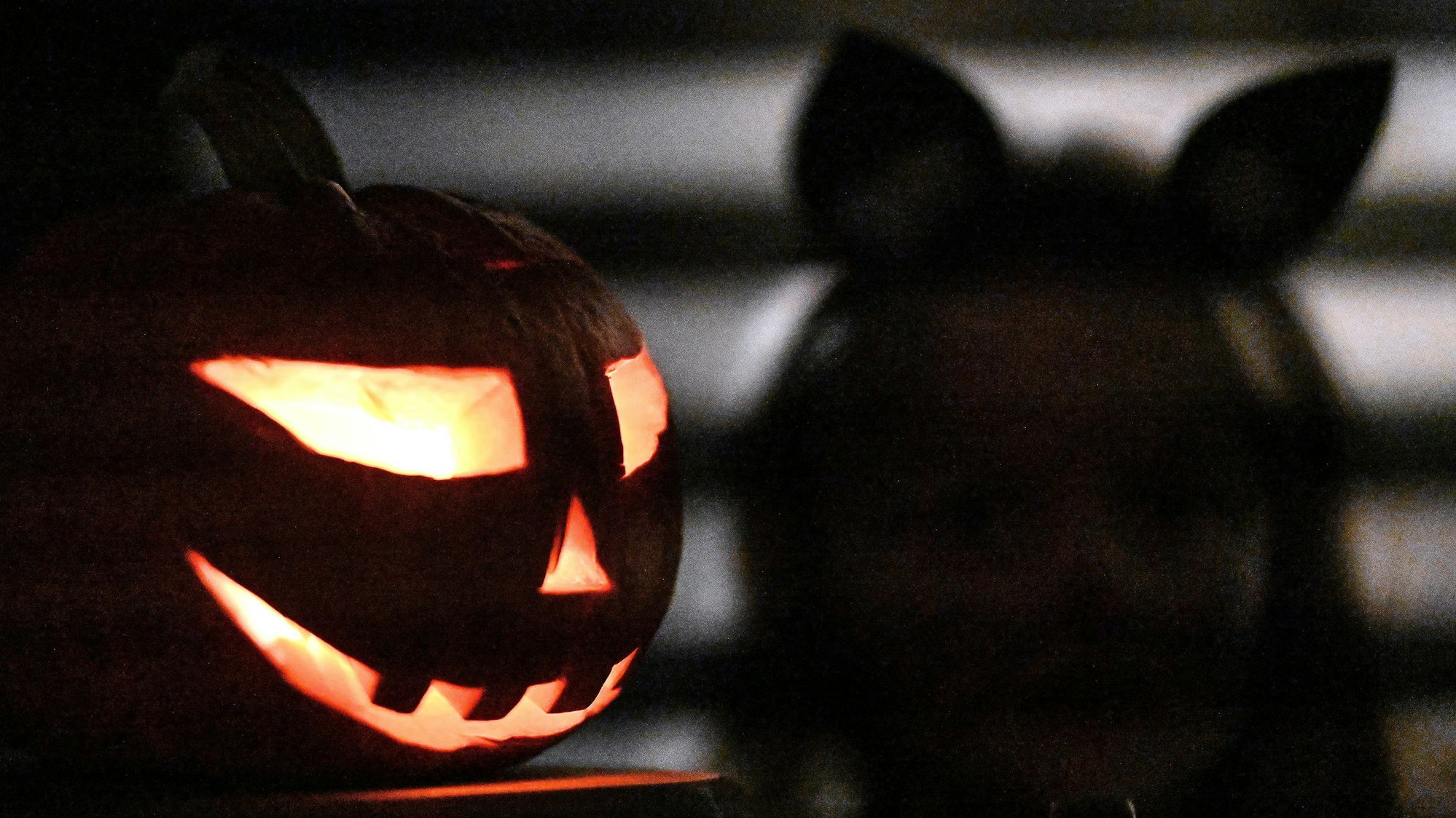 Ein Kürbis steht zu Halloween vor einem Haus. (Symbolbild)