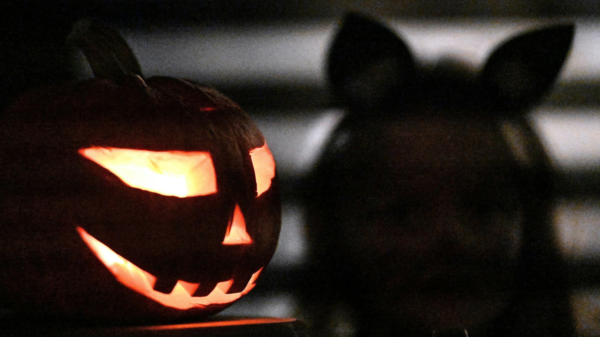 Ein Kürbis steht zu Halloween vor einem Haus. (Symbolbild)