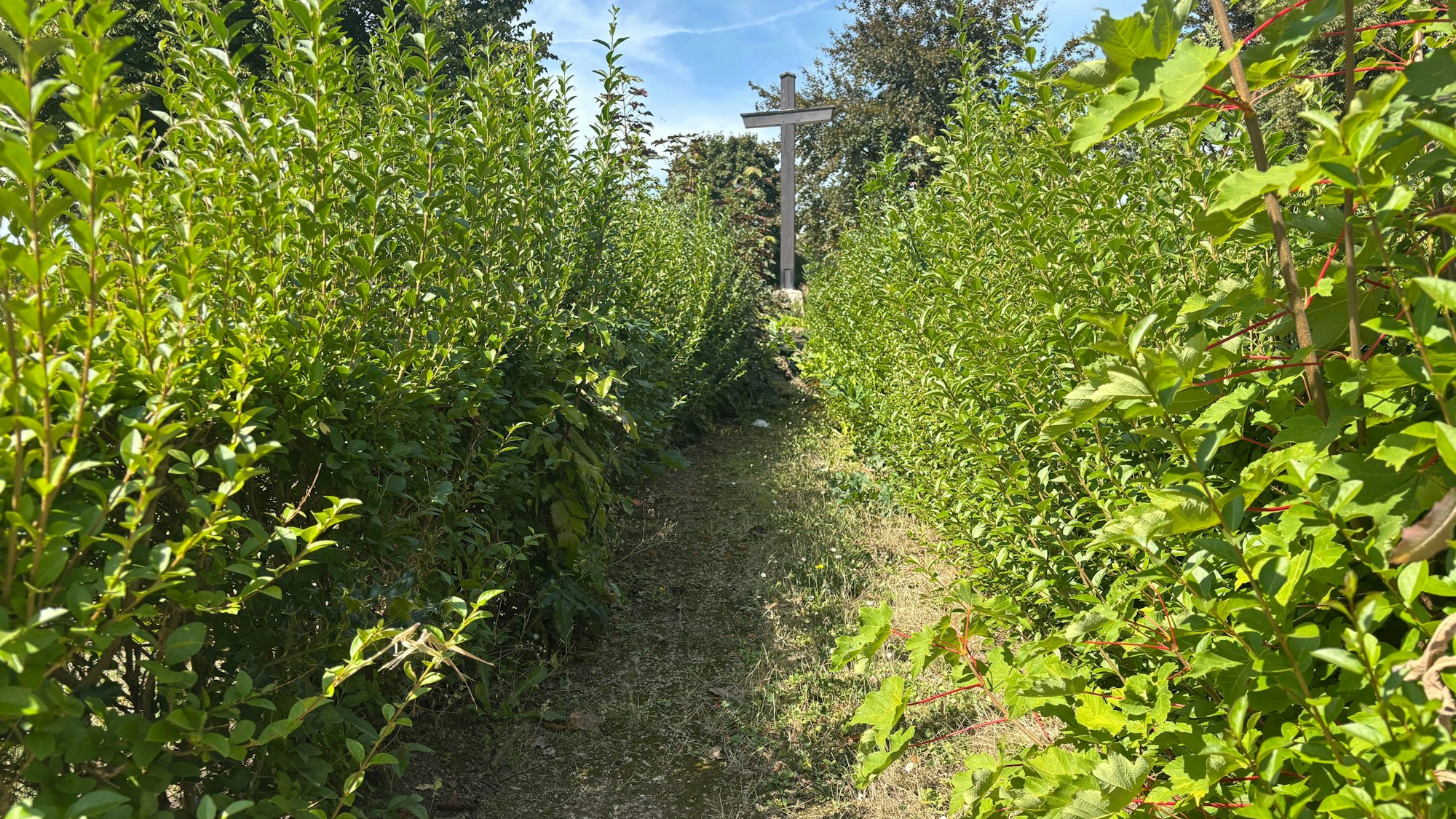 Hecken ragen über einen Weg, der auf ein Kreuz zuläuft.