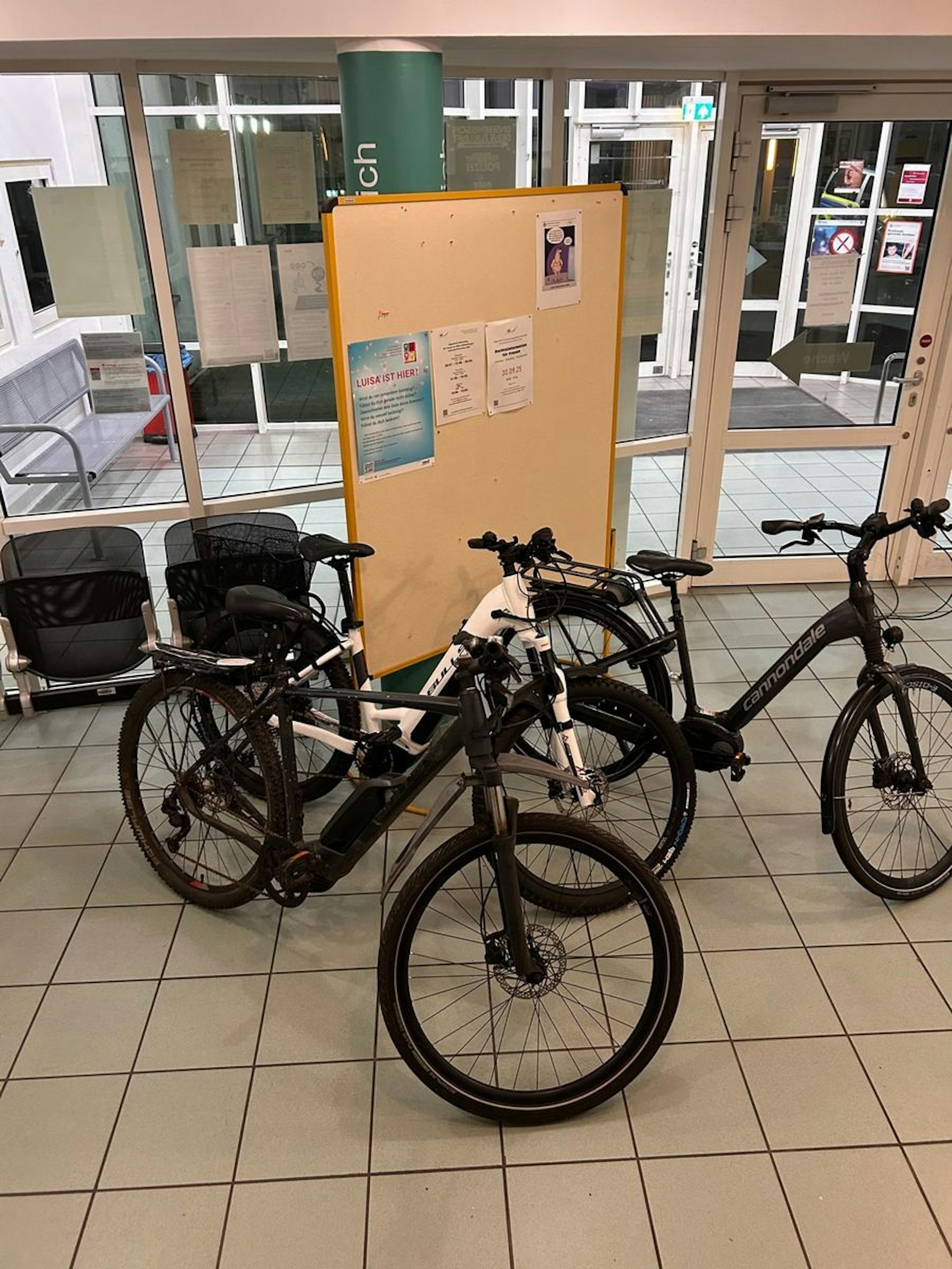 Zwei Pedelecs der Marke Carver, die gestohlen wurden.