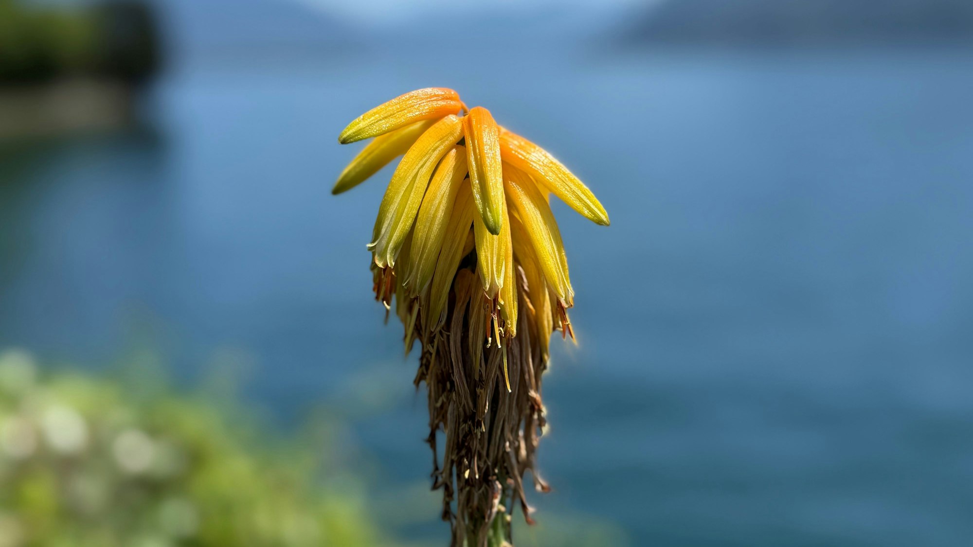 Bunte Farben mit blauem und unscharfem Wasser im Hintergrund– jetzt noch teilnehmen am Fotowettbewerb 2025.