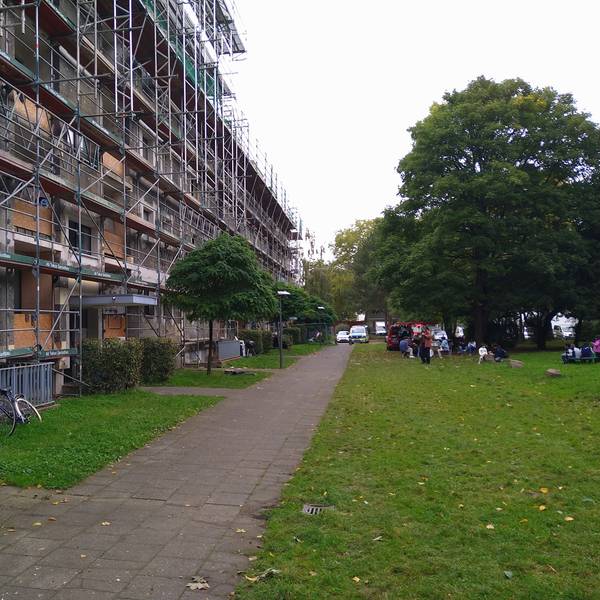 Nachdem die Arbeiten am Dach der Häuserzeile vor gut zwei Jahren abgebrochen wurden, blieb auch das Baugerüst schlicht stehen.