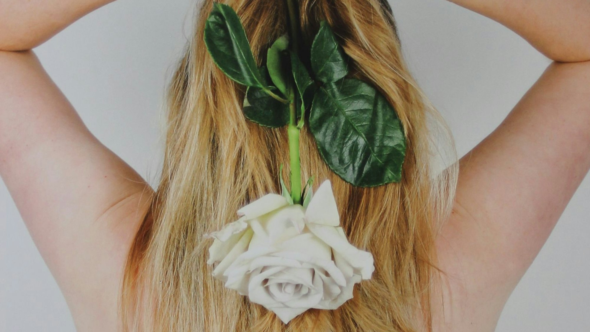 Eine Frau mit blonden Haaren hält eine weiße Rose hinter dem Kopf.