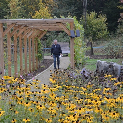 Ein Laubengang aus Holz, im Vordergrund blüht ein Beet mit gelben Blüten.