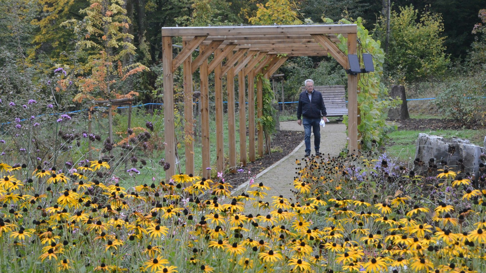 Ein Laubengang aus Holz, im Vordergrund blüht ein Beet mit gelben Blüten.