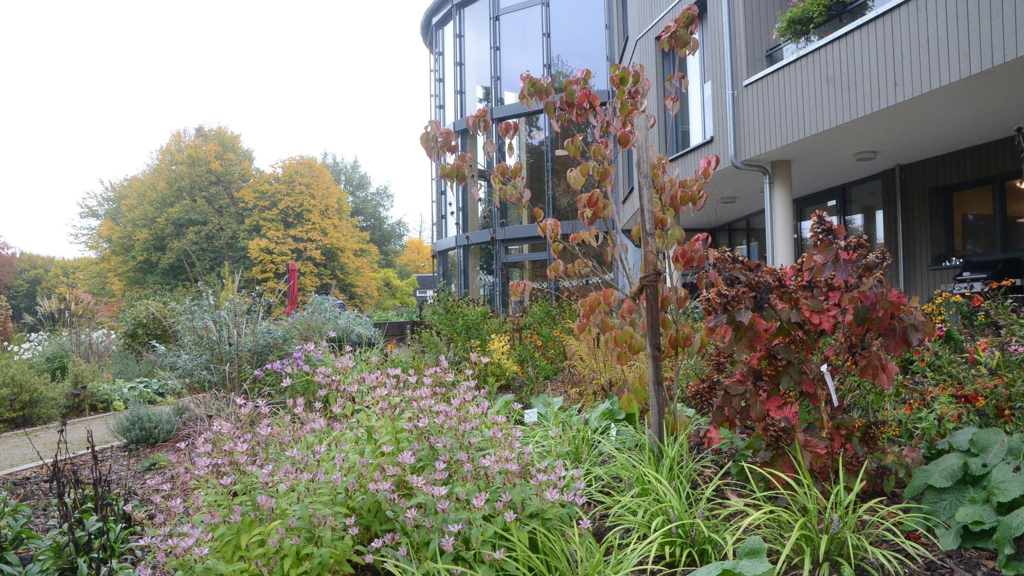 Ein Garten vor einem modernen Gebäude mit gläsernem Rundbau.