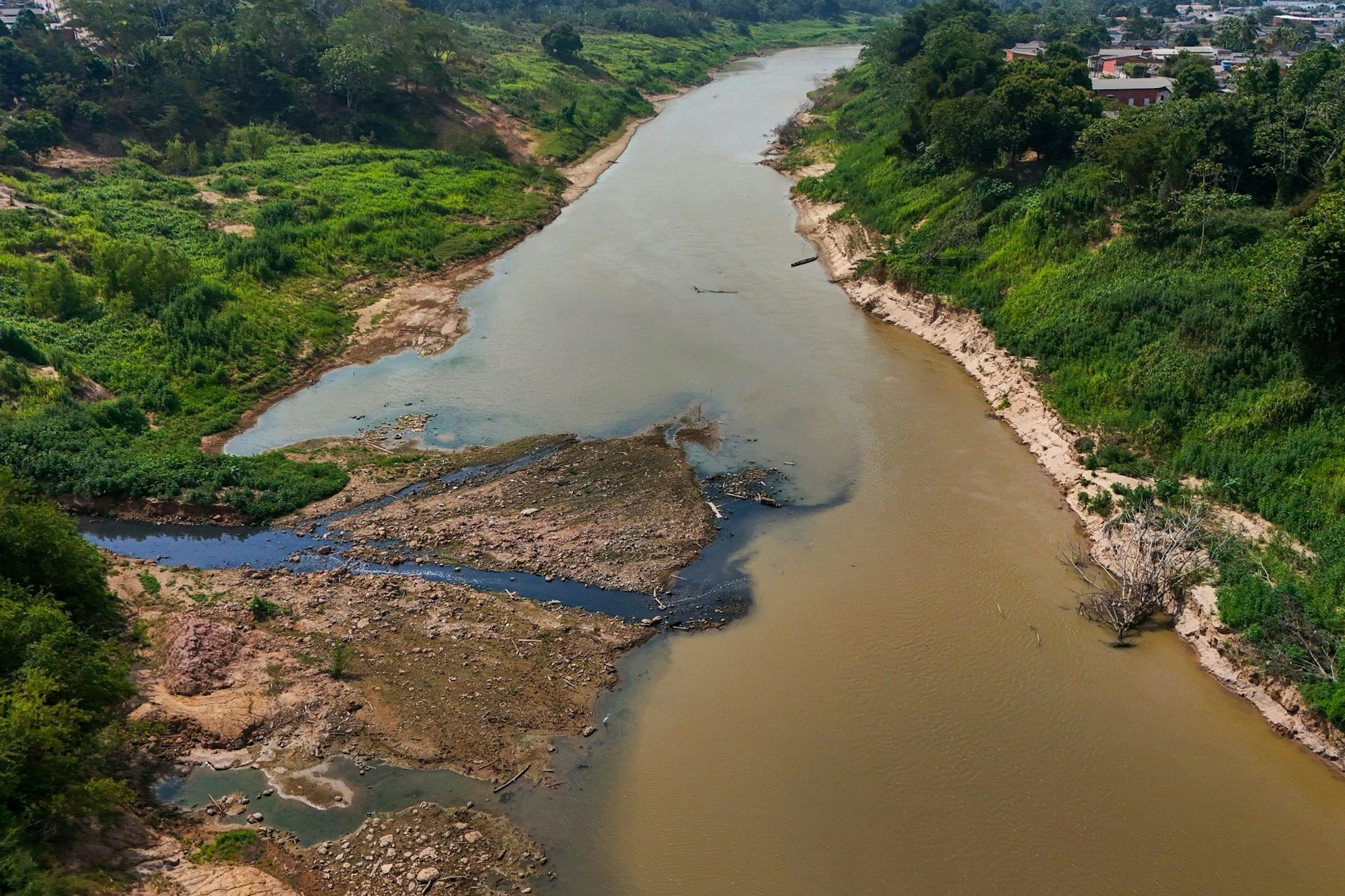 Der Amazonas gehört zu den gefährdeten Systemen.