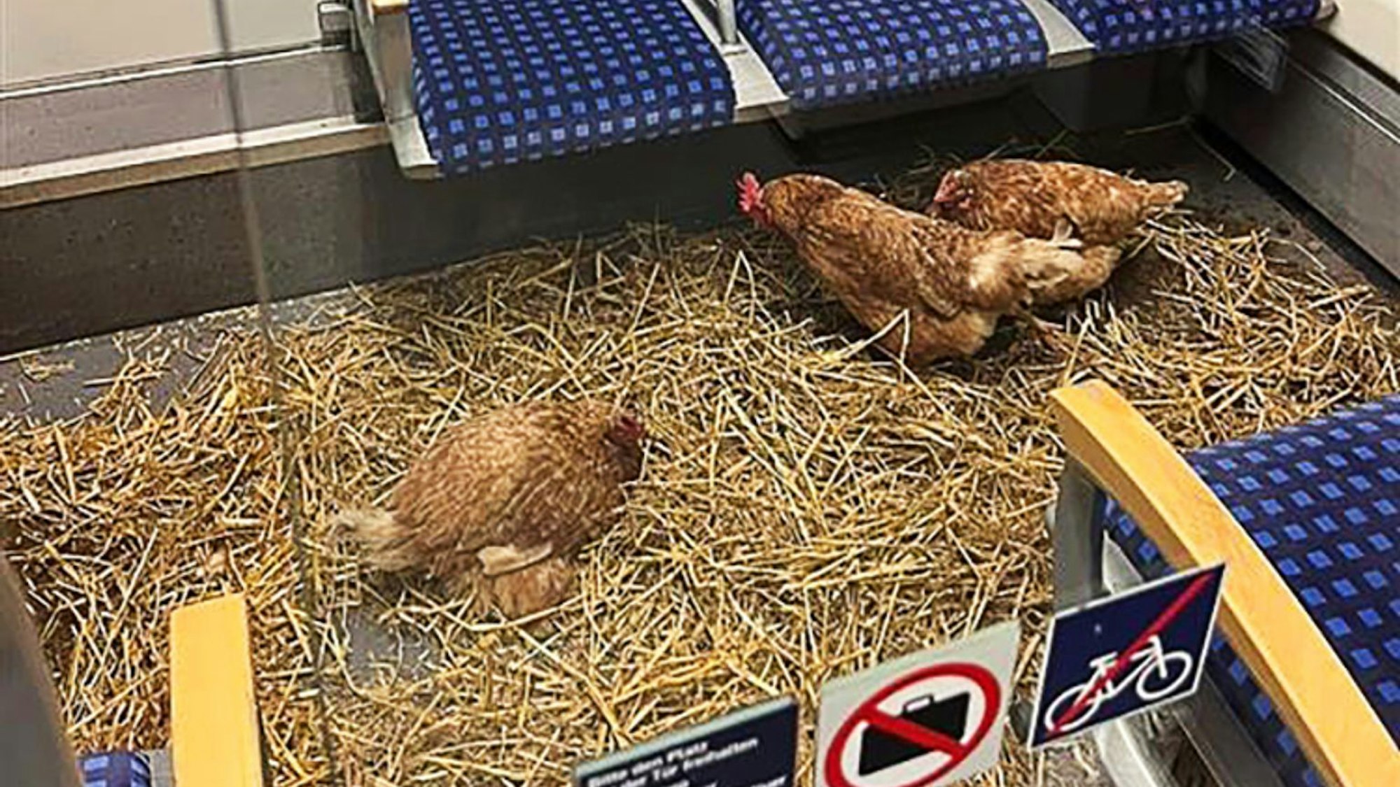 «Die Eier sind 1. Klasse», schrieb die Deutsche Bahn auf Instagram zu den zurückgelassenen Hühnern.