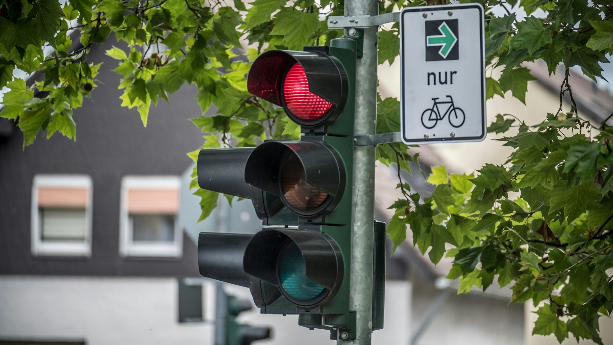 Ein Grünpfeil für Radfahrer an einer Ampel in Rheindorf.