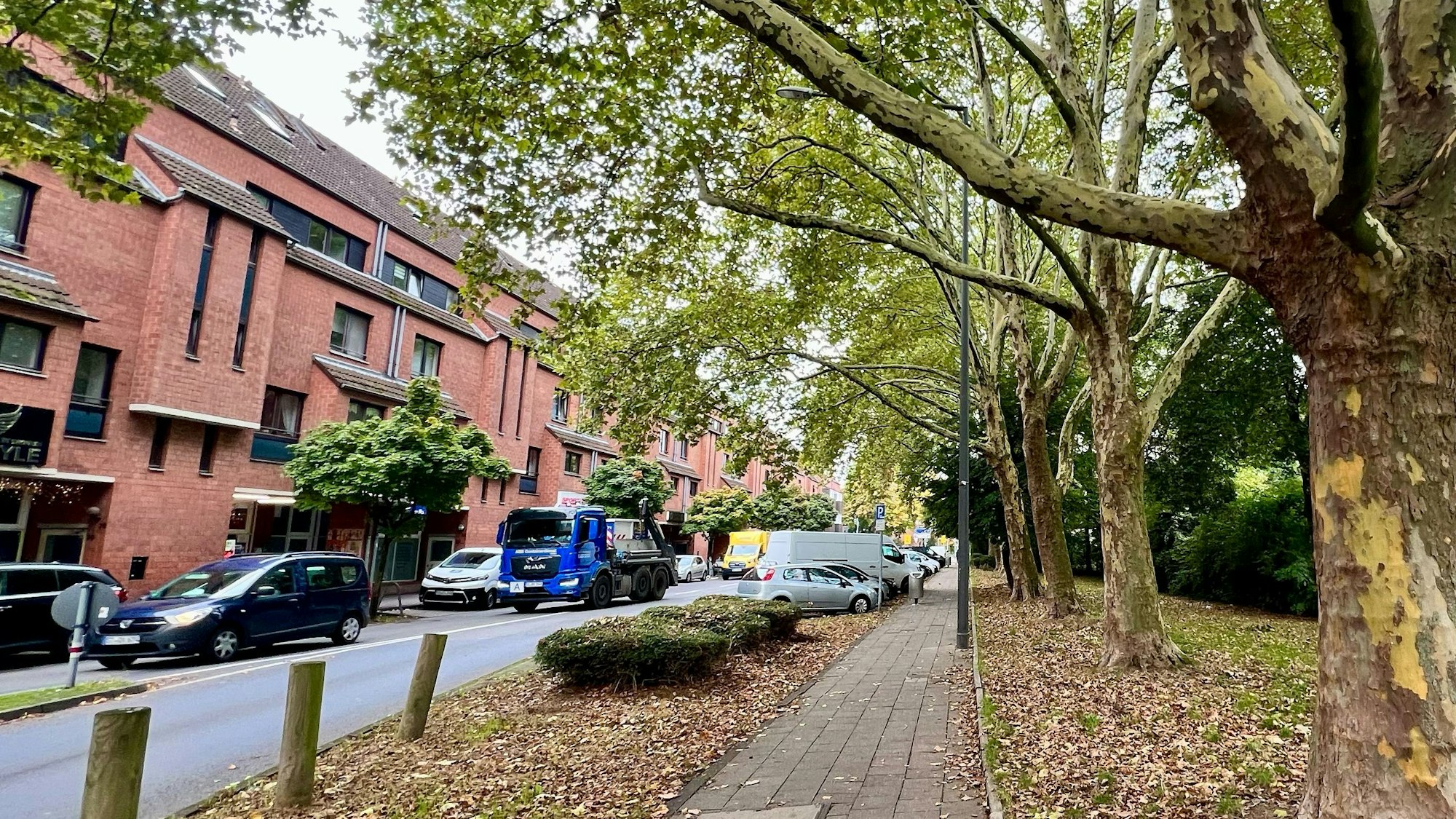 Alten Baumbestand gibt es nicht nur entlang der Karlstraße, sondern auch auf dem angrenzenden Grundstück des Berufskollegs.