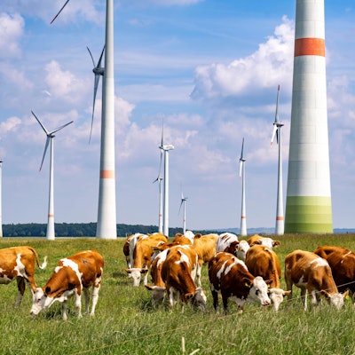 Viehweide östlich von Lichtenau, Windpark, NRW, Deutschland, Windpark Viehweide *** Viehweide east of Lichtenau, wind farm, NRW, Germany, Viehweide wind farm