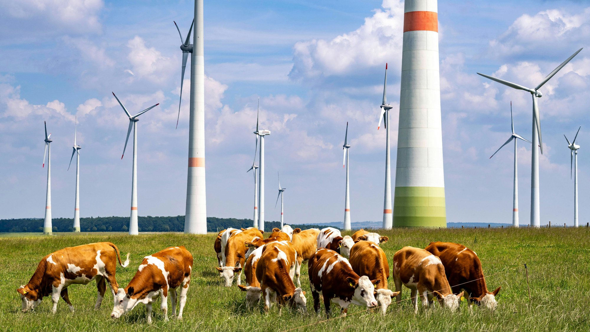 Viehweide östlich von Lichtenau, Windpark, NRW, Deutschland, Windpark Viehweide *** Viehweide east of Lichtenau, wind farm, NRW, Germany, Viehweide wind farm