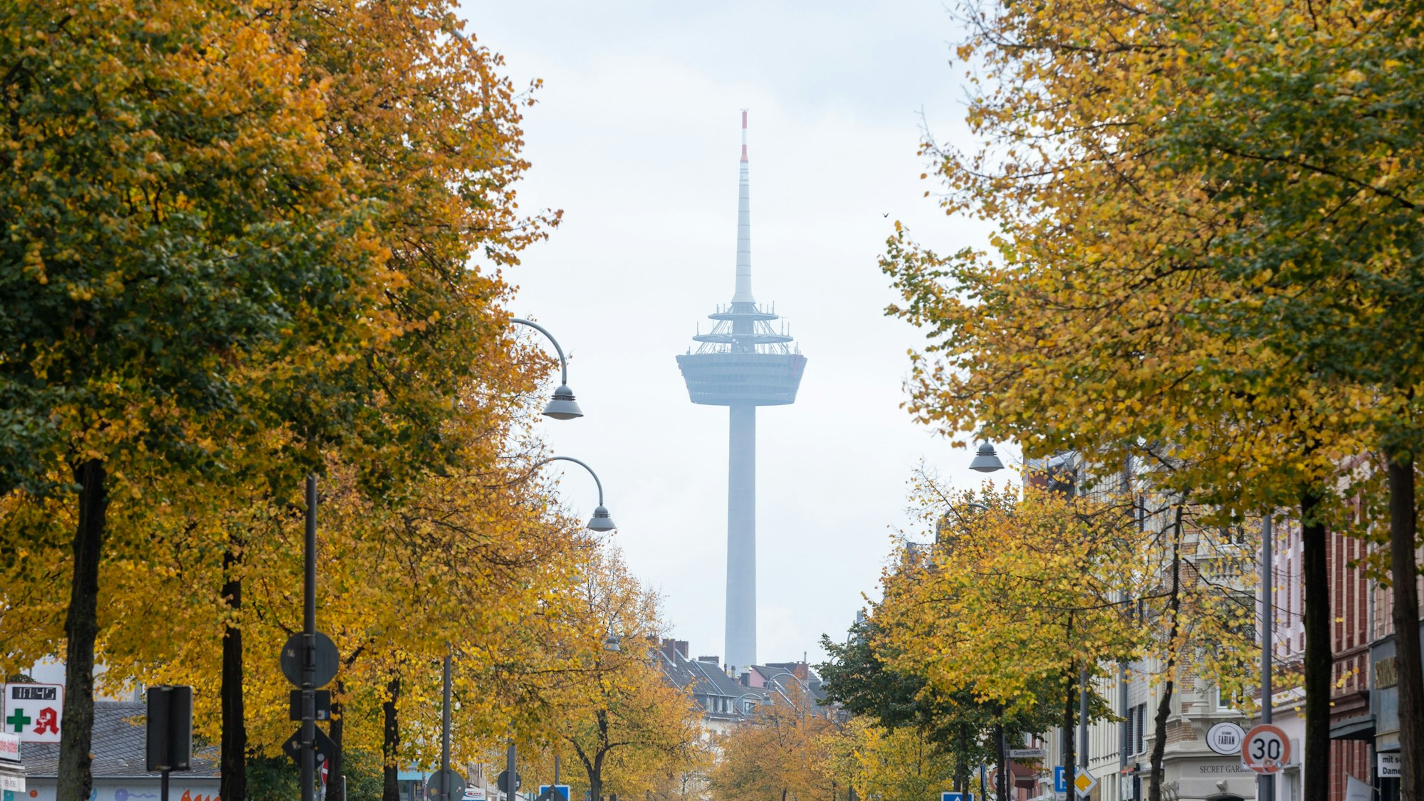 Ein Fernsehturm wird von herbstbunten Bäumen umrahmt.