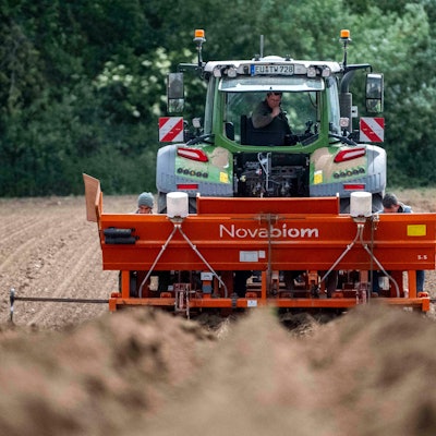 Das Bild zeigt einen Traktor, der auf einem Feld bei Ottenheim Sprösslinge einbringt.