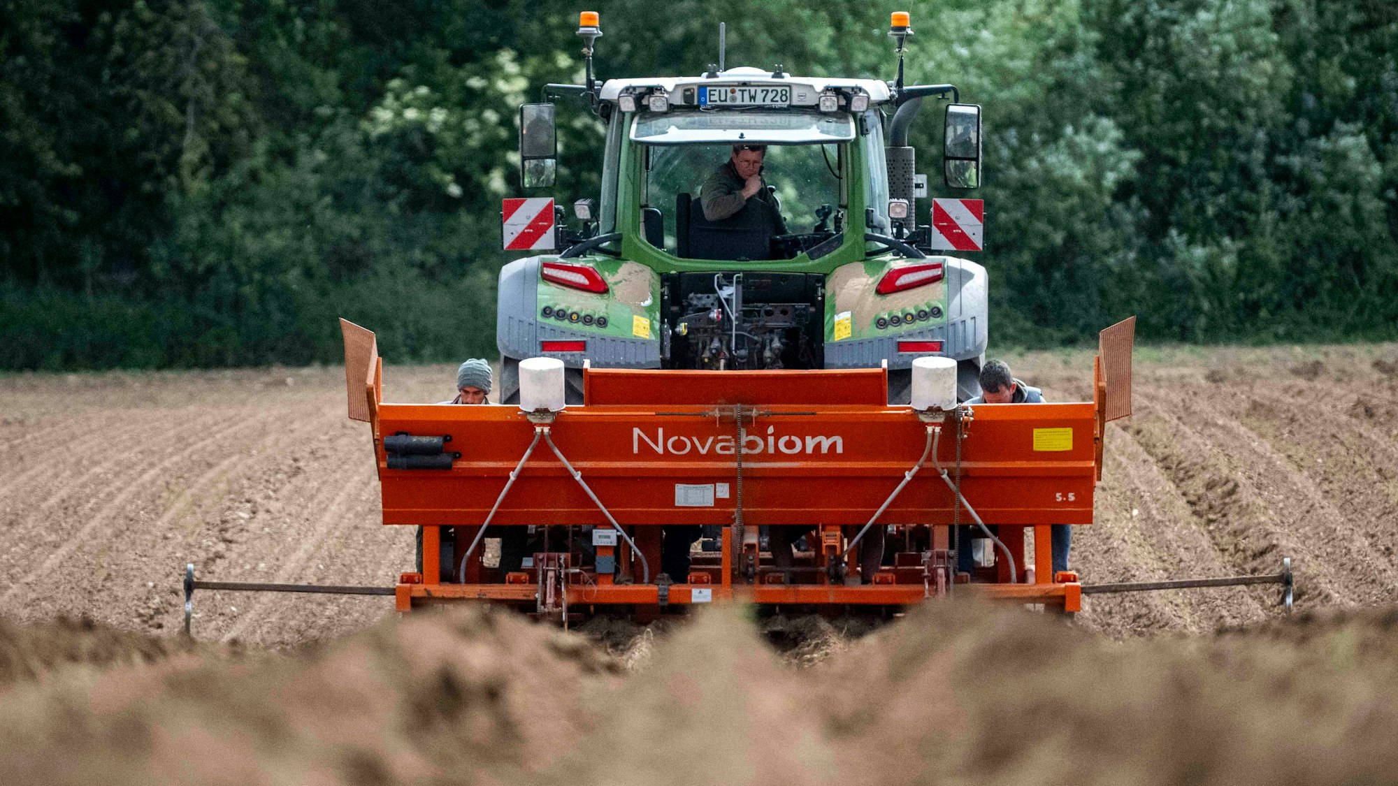 Das Bild zeigt einen Traktor, der auf einem Feld bei Ottenheim Sprösslinge einbringt.
