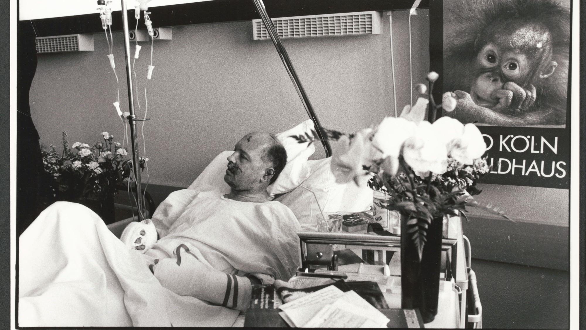 Köln - Zoodirektor Gunther Nogge nach dem Angriff des Schimpansen "Petermann" mit schweren Verletzungen in einem Kölner Krankenhaus. - Foto vom 15.10. 1985