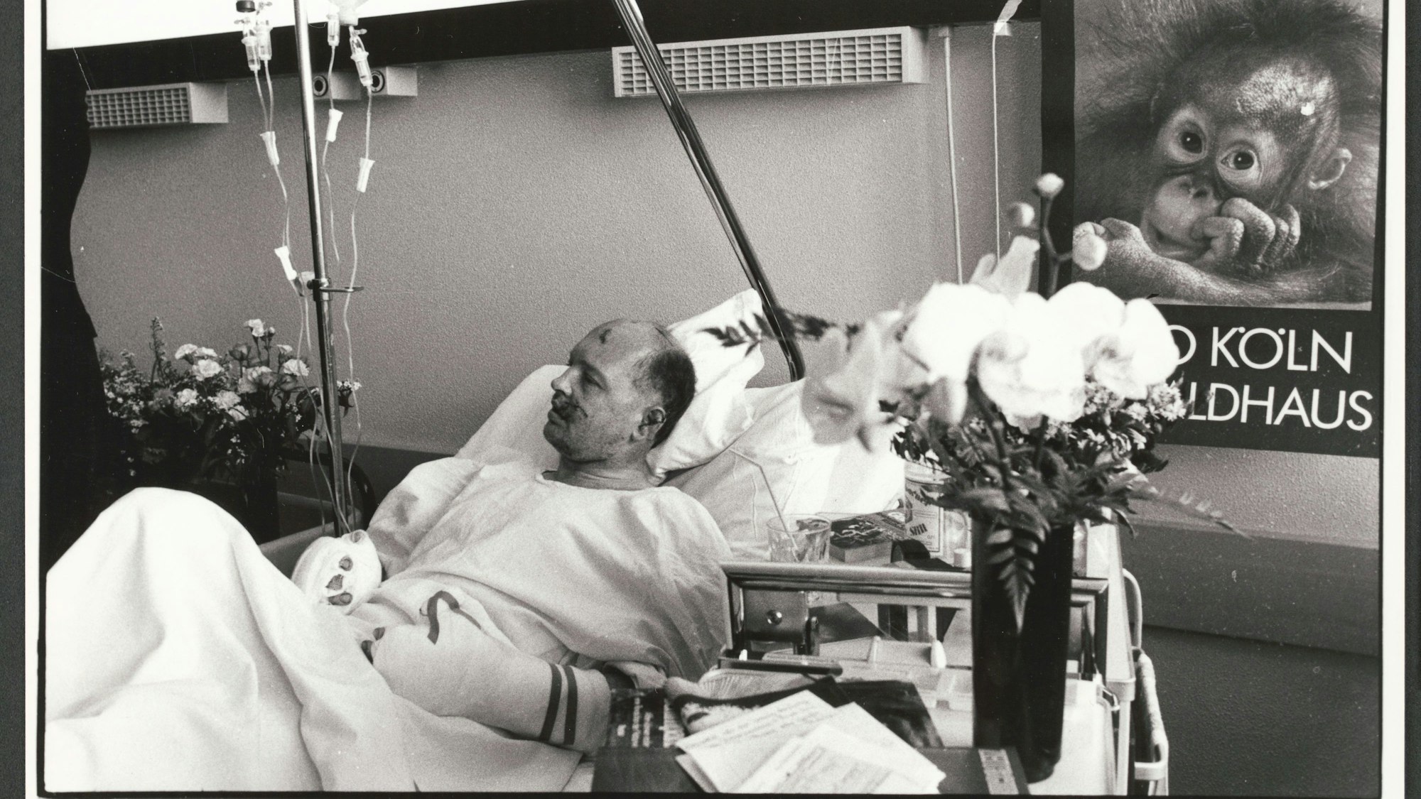 Köln - Zoodirektor Gunther Nogge nach dem Angriff des Schimpansen "Petermann" mit schweren Verletzungen in einem Kölner Krankenhaus. - Foto vom 15.10. 1985