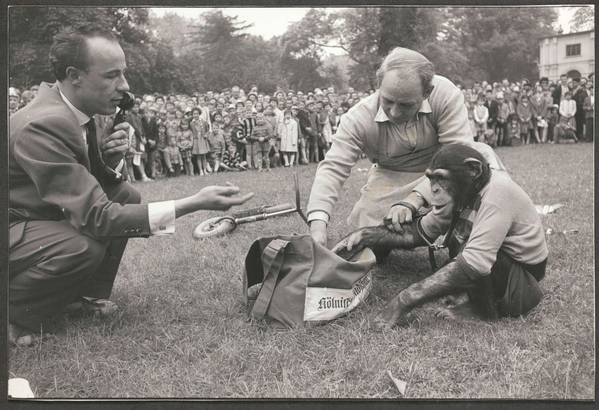 Affe Petermann Affe Petermann - Zoo A Deutschland *** Monkey Petermann Monkey Petermann Zoo a Germany Copyright: xUnitedxArchivesx/xGrevenStiftungx/xKölnischexRundschaux/xHansherbertxWirtz KR_02_0007158_r EDITORIAL USE ONLY