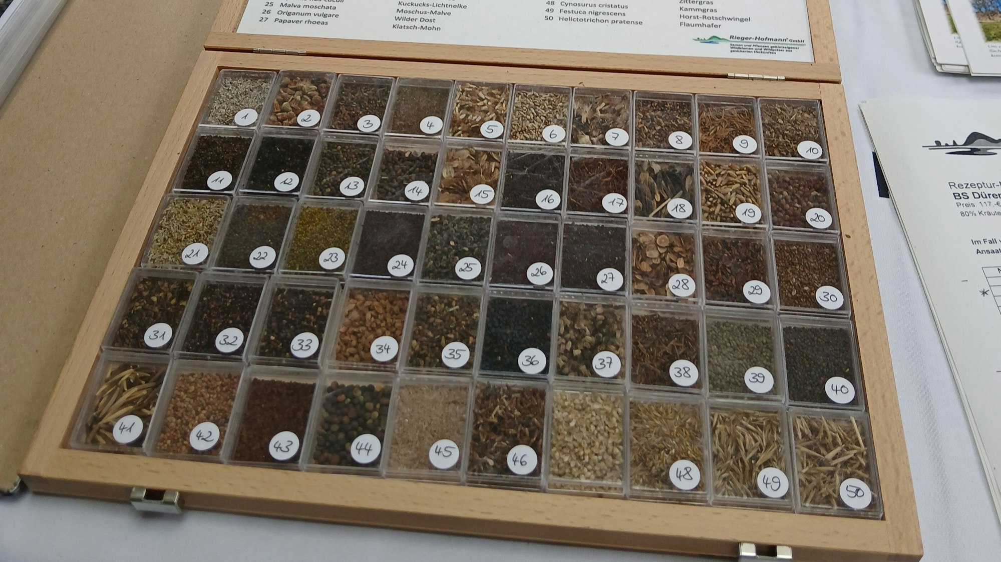 In einem Schaukasten sind zahlreiche verschiedene Samen. Jedes Fach ist mit einer Nummer versehen.