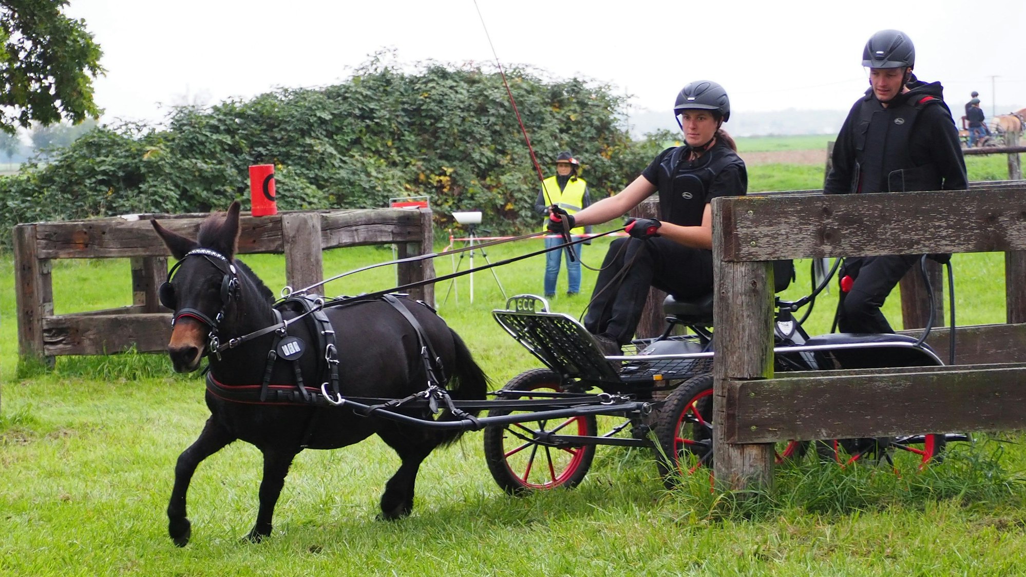 Eine Kutsche, gezogen von einem Muli, fährt um ein hölzernes Hindernis herum.