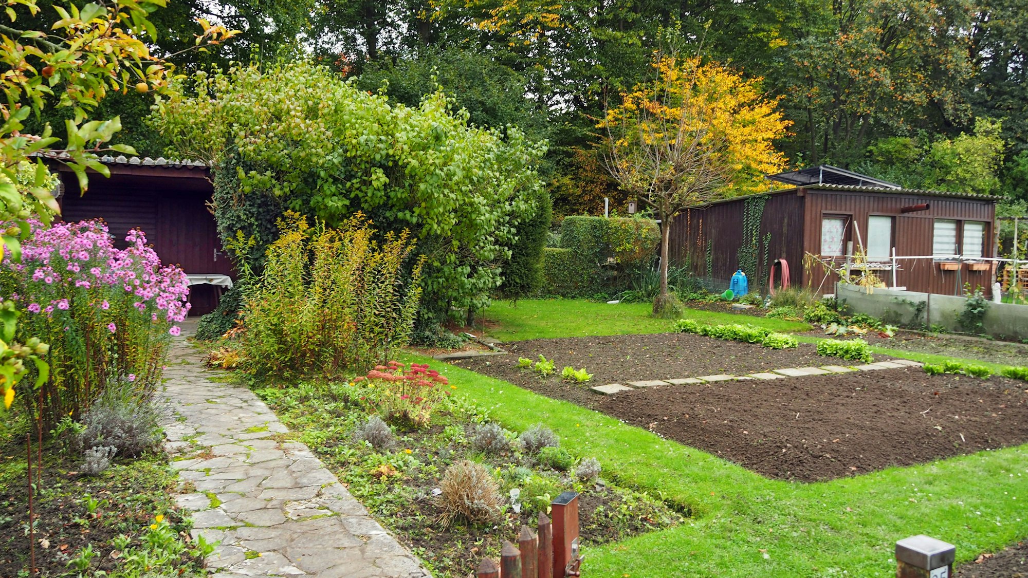 Kleingärten bieten Erholung und sind ökologisch wertvoll. Durch den geplanten Ausbau der A4 im Kölner Süden würden viele Gärten verschwinden – auch in der Anlage Köln-Höningen.