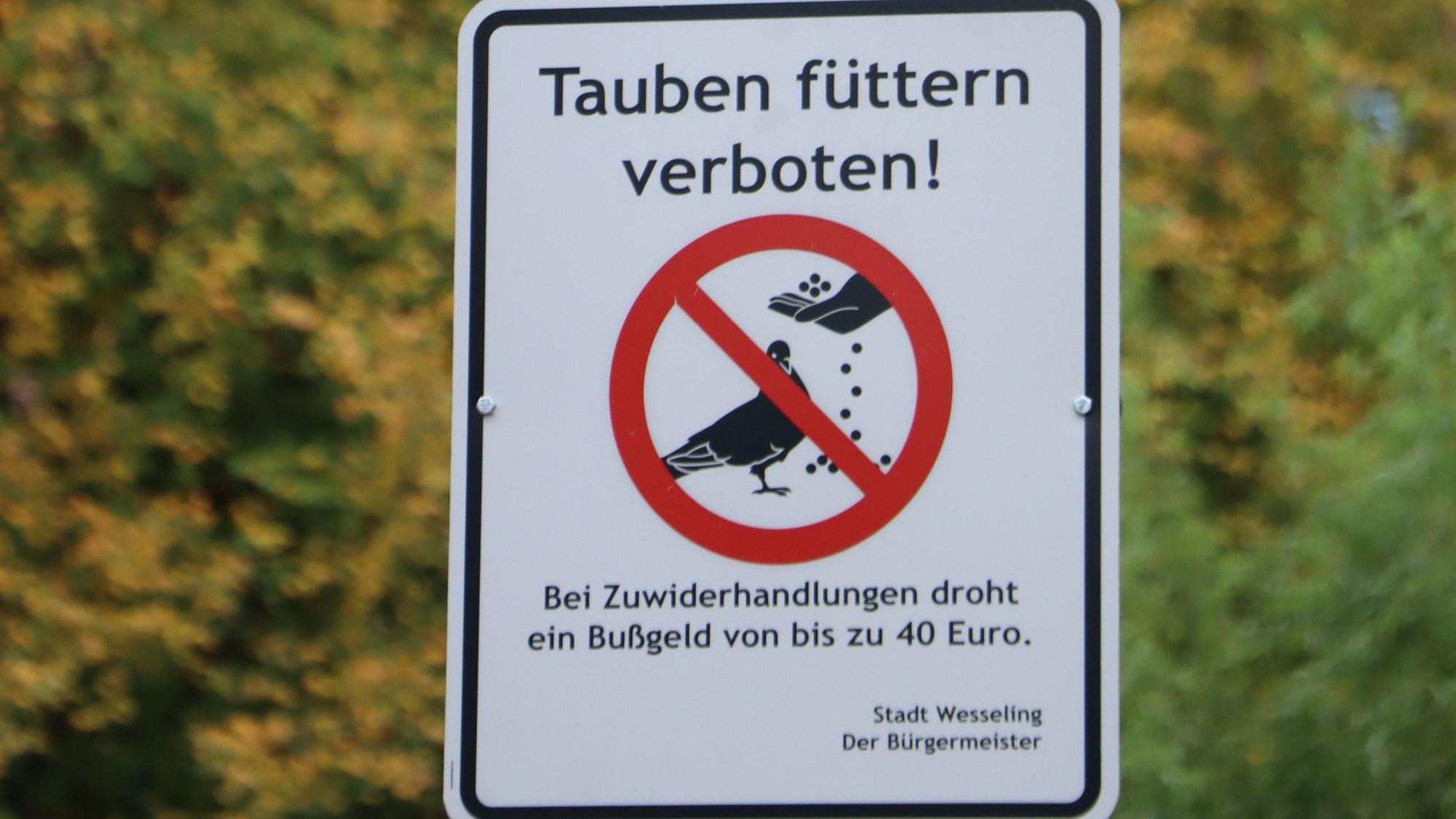 Auf dem Schild ist mit einem roten, durchgestrichenen Kreis dargestellt, wie eine Taube gefüttert wird. Über dem Symbol steht: Tauben füttern verboten. Darunter verweist da Schild auf ein Bußgeld von bis zu 40 Euro.