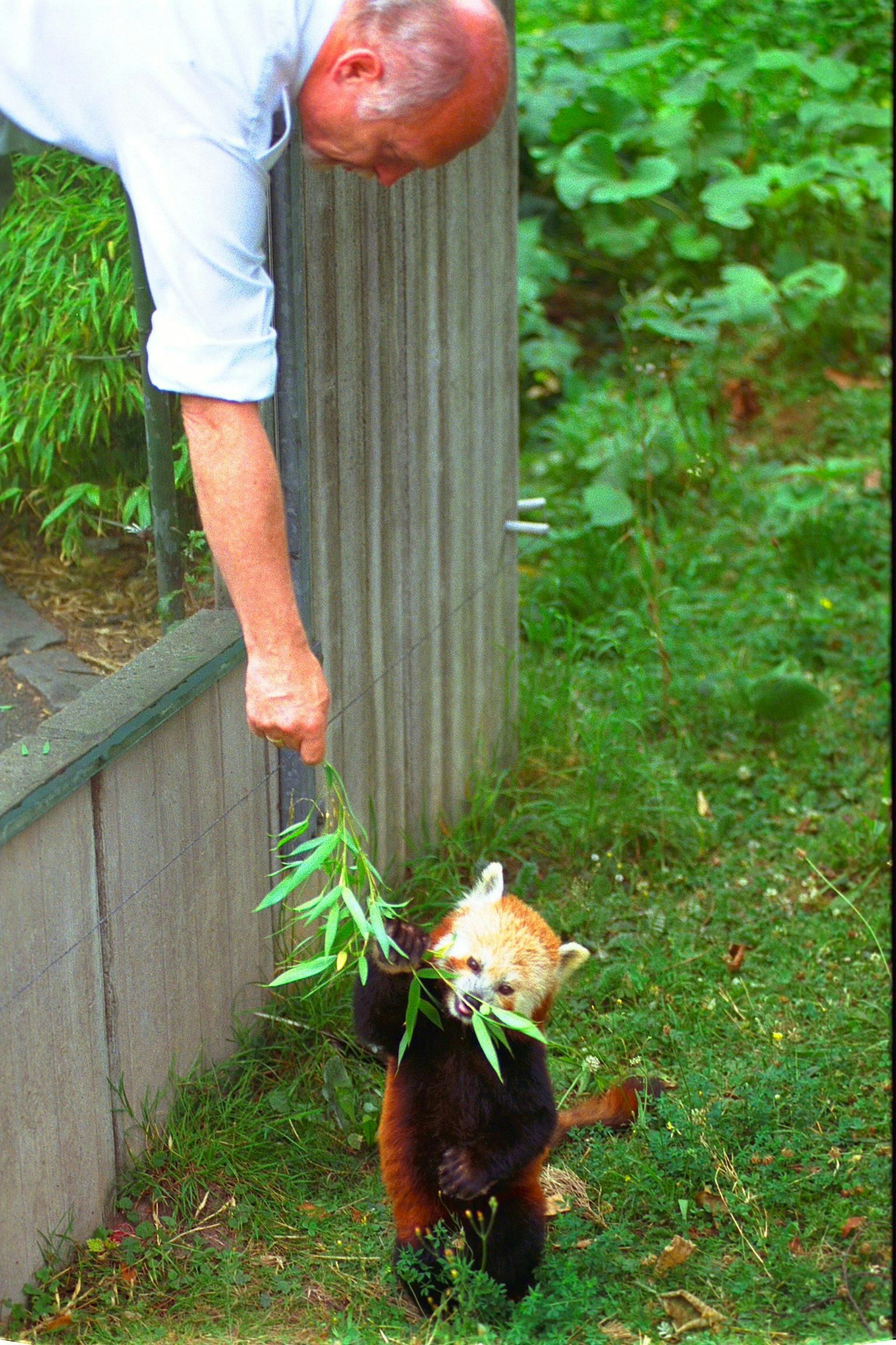 G. Nogge G. Nogge - Deutschland *** G Nogge G Nogge Germany Copyright: xUnitedxArchivesx/xGrevenStiftungx/xKölnischexRundschaux/xBrigittexStachowski KR_01_0012840_r EDITORIAL USE ONLY