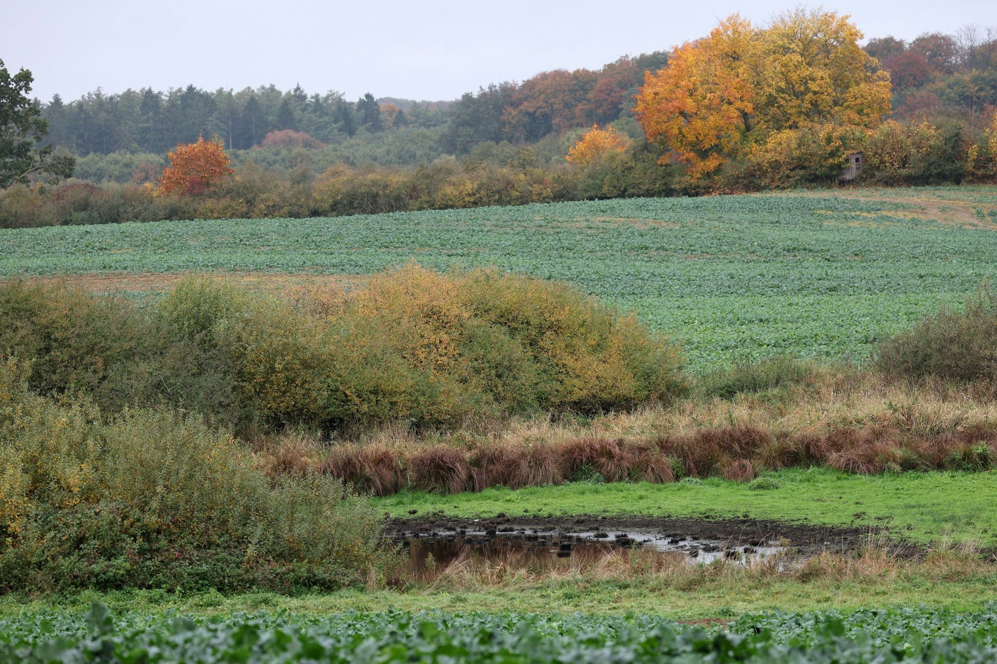 Die Suchmaßnahmen im Umfeld der Stelle, an der in der Nähe Güstrows am Dienstag ein toter Junge gefunden wurde, sind abgeschlossen.