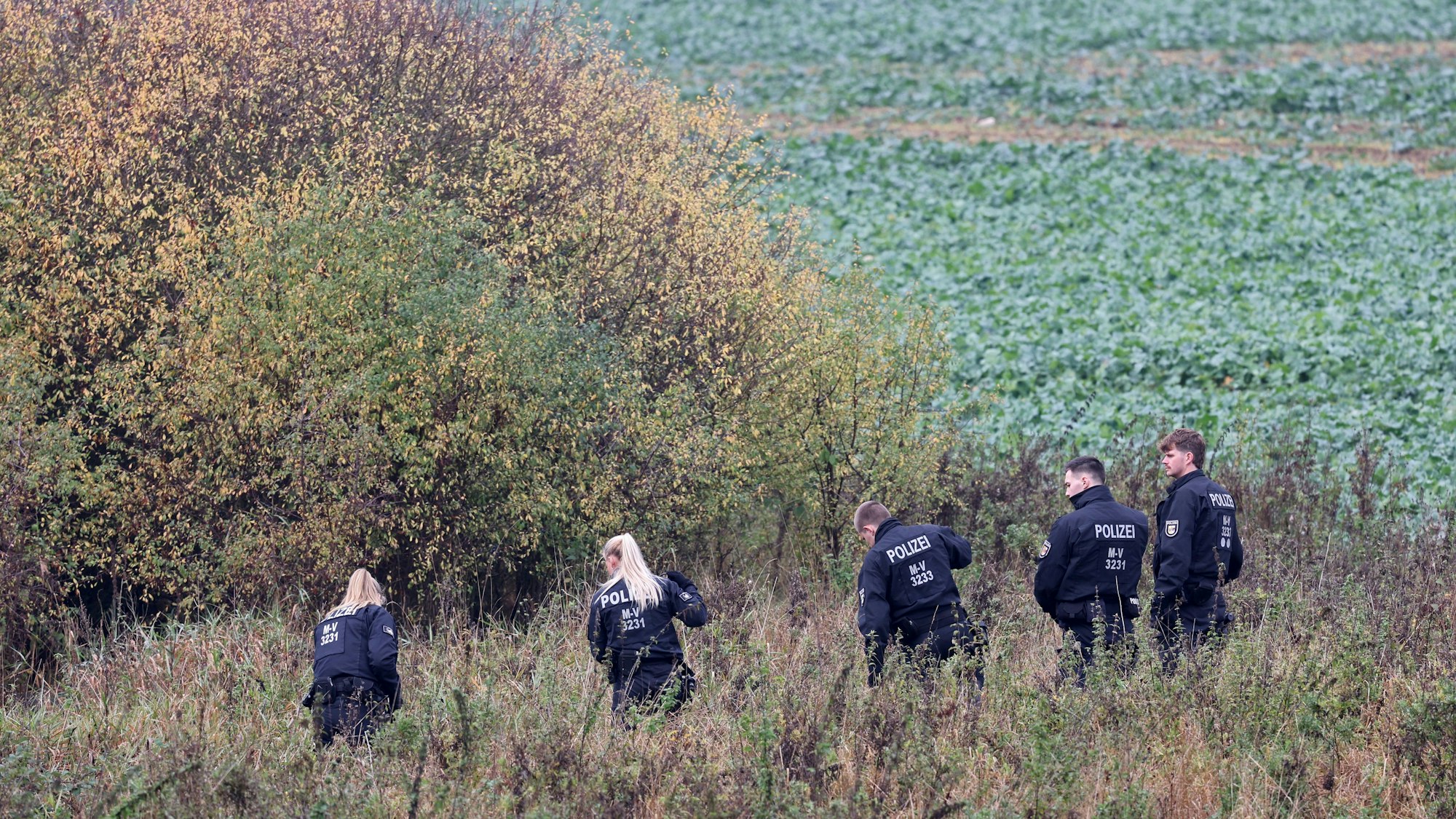 Polizisten durchsuchen das Waldgebiet bei Klein Upahl, in dem Anfang der Woche die Leiche des achtjährigen Fabian entdeckt wurde.