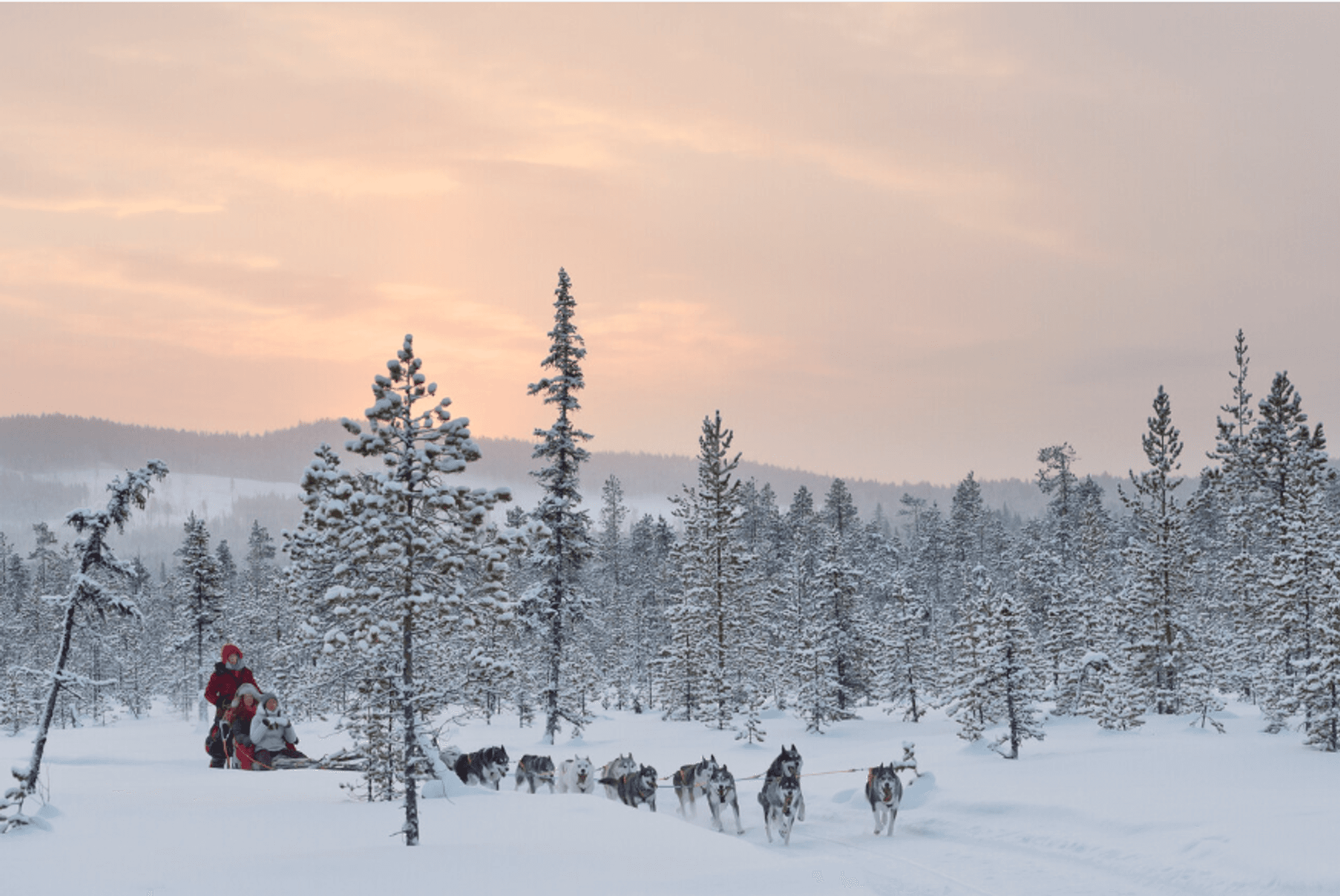 Ein Hundeschlitten-Team mit mehreren Huskys zieht durch eine weite, tief verschneite Landschaft, eingerahmt von schneebedeckten Bäumen.
