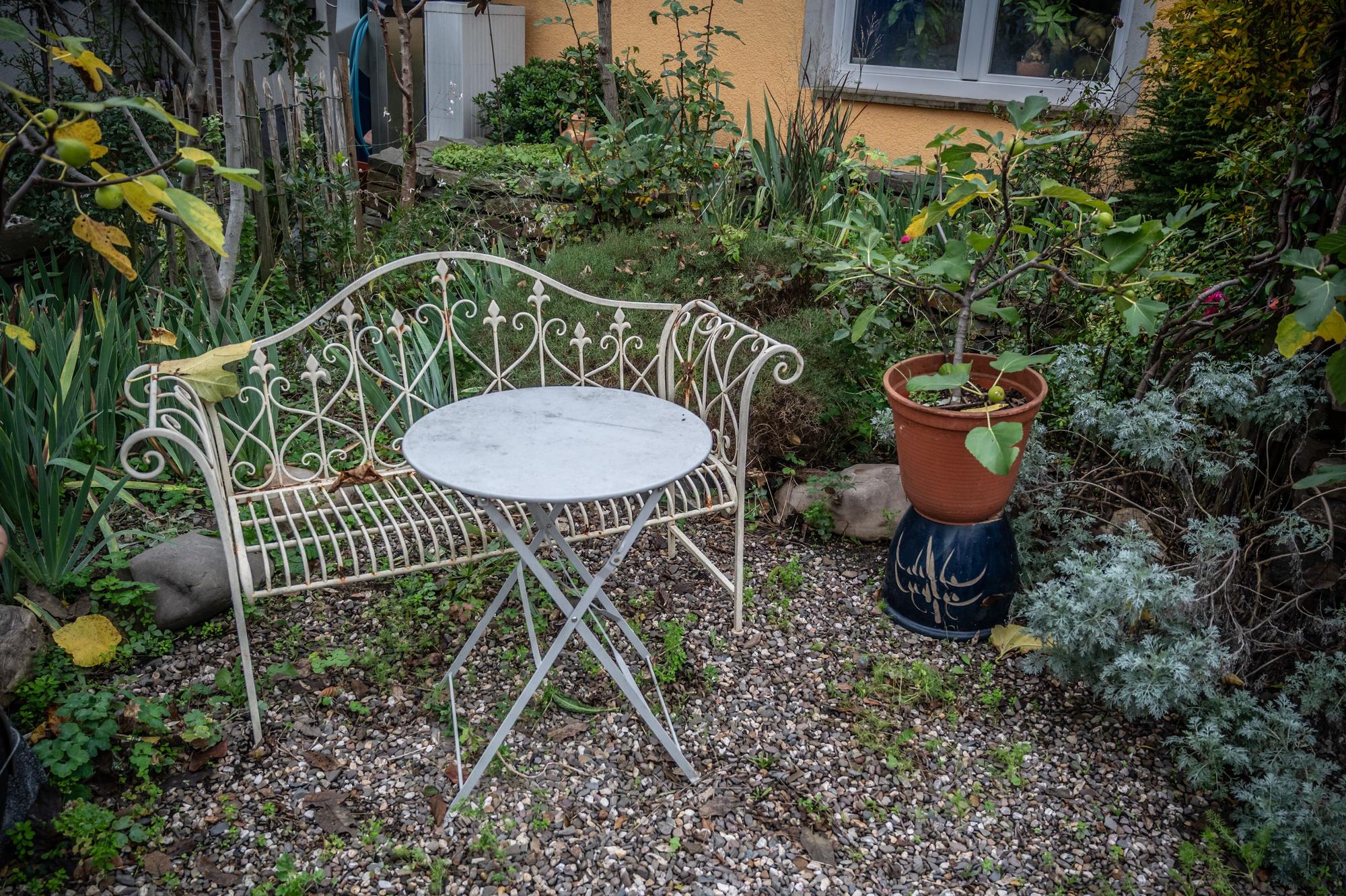 Im Garten von Ulrich Erxleben in Manfort wachsen etwa 500 verschiedene essbare Pflanzen. Bild: Ralf Krieger