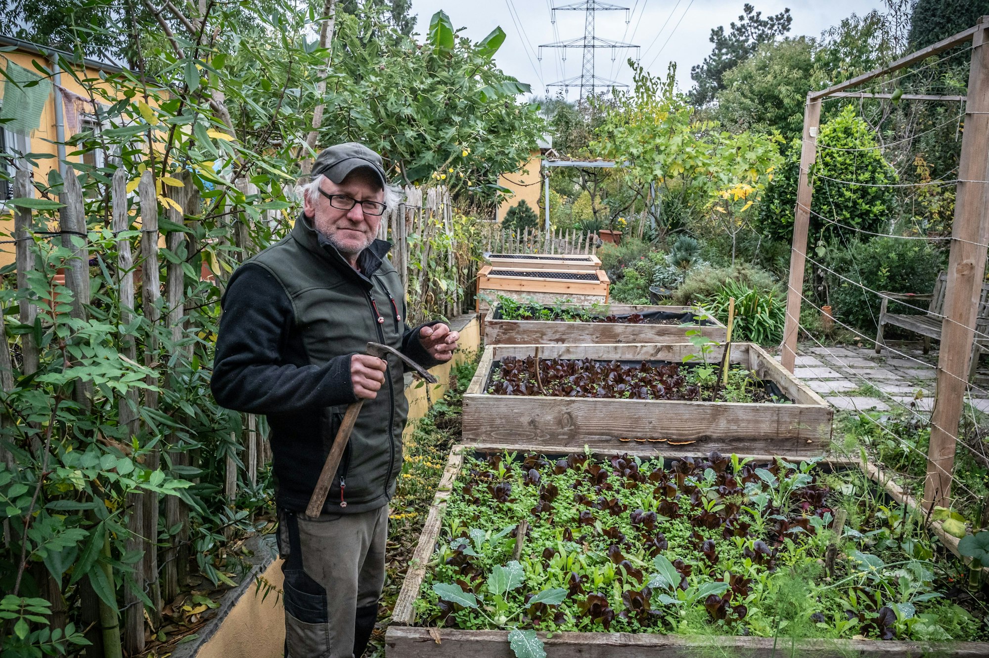 Im Garten von Ulrich Erxleben in Manfort wachsen etwa 500 verschiedene essbare Pflanzen. Bild: Ralf Krieger