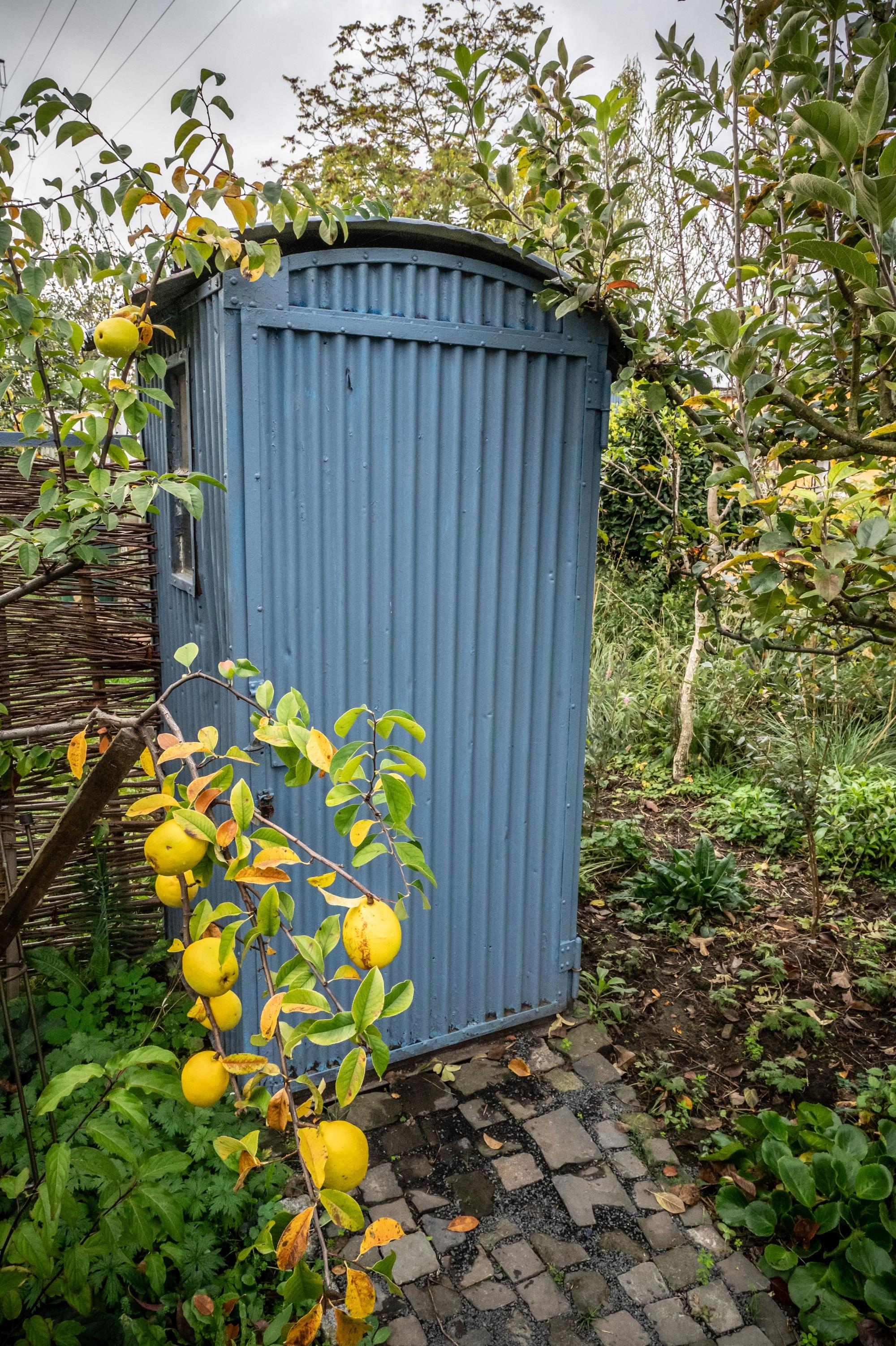 Im Garten von Ulrich Erxleben in Manfort wachsen etwa 500 verschiedene essbare Pflanzen. Bild: Ralf Krieger