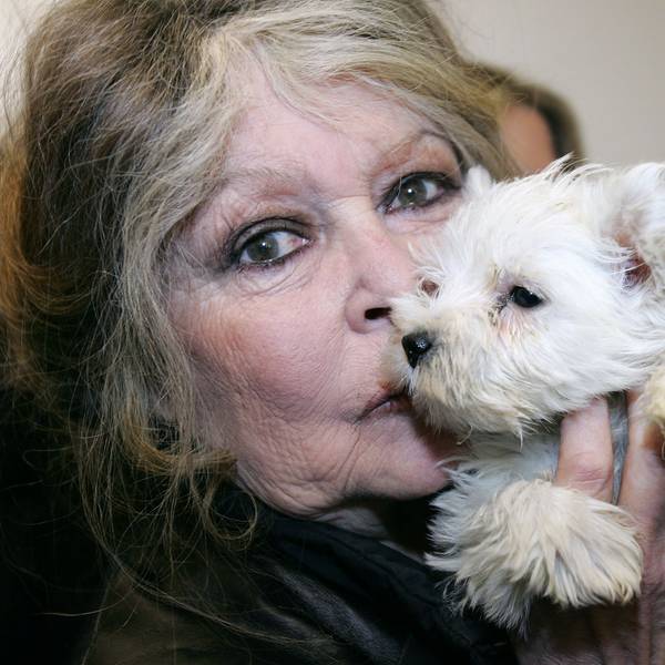 Die französische Schauspielerin und Tierschützerin Brigitte Bardot in einem Hundezwinger in Nizza