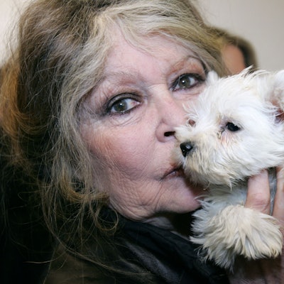Die französische Schauspielerin und Tierschützerin Brigitte Bardot in einem Hundezwinger in Nizza