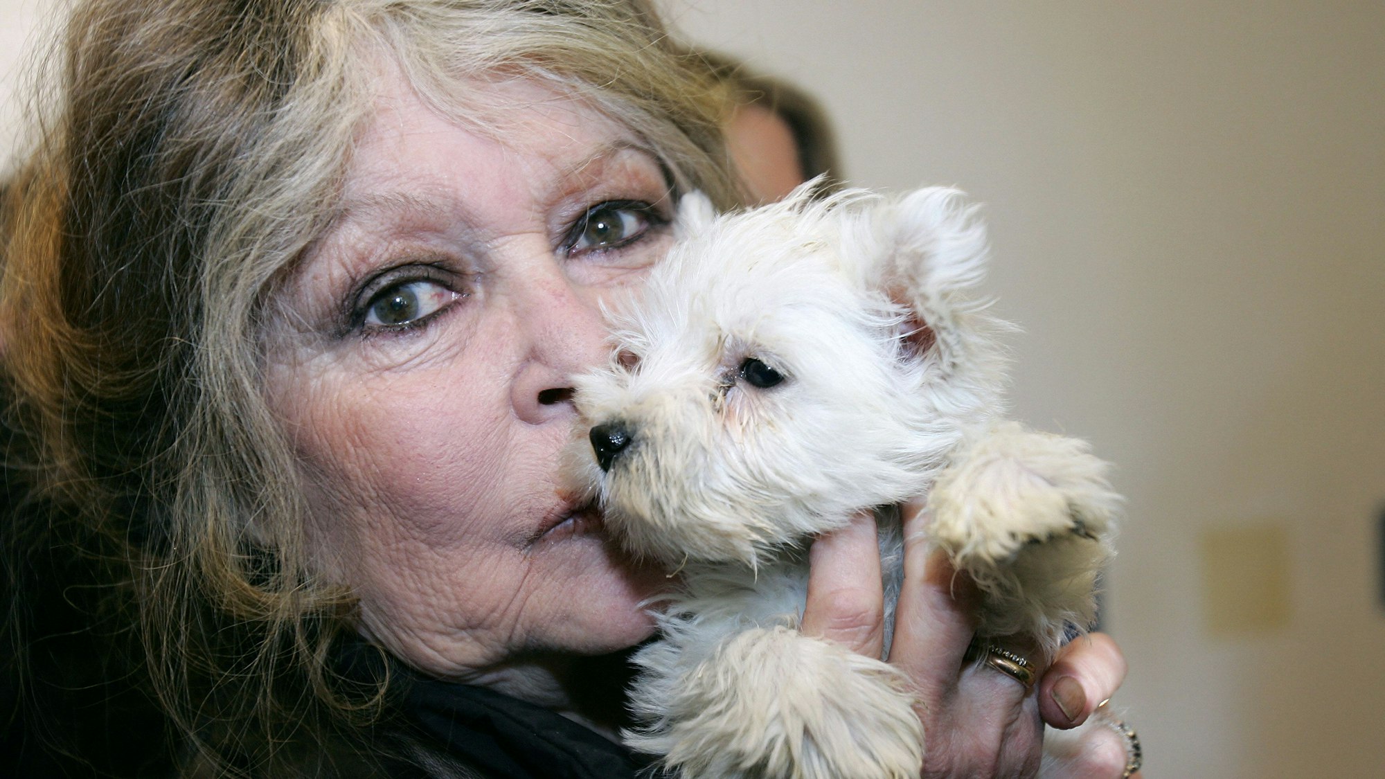 Die französische Schauspielerin und Tierschützerin Brigitte Bardot in einem Hundezwinger in Nizza