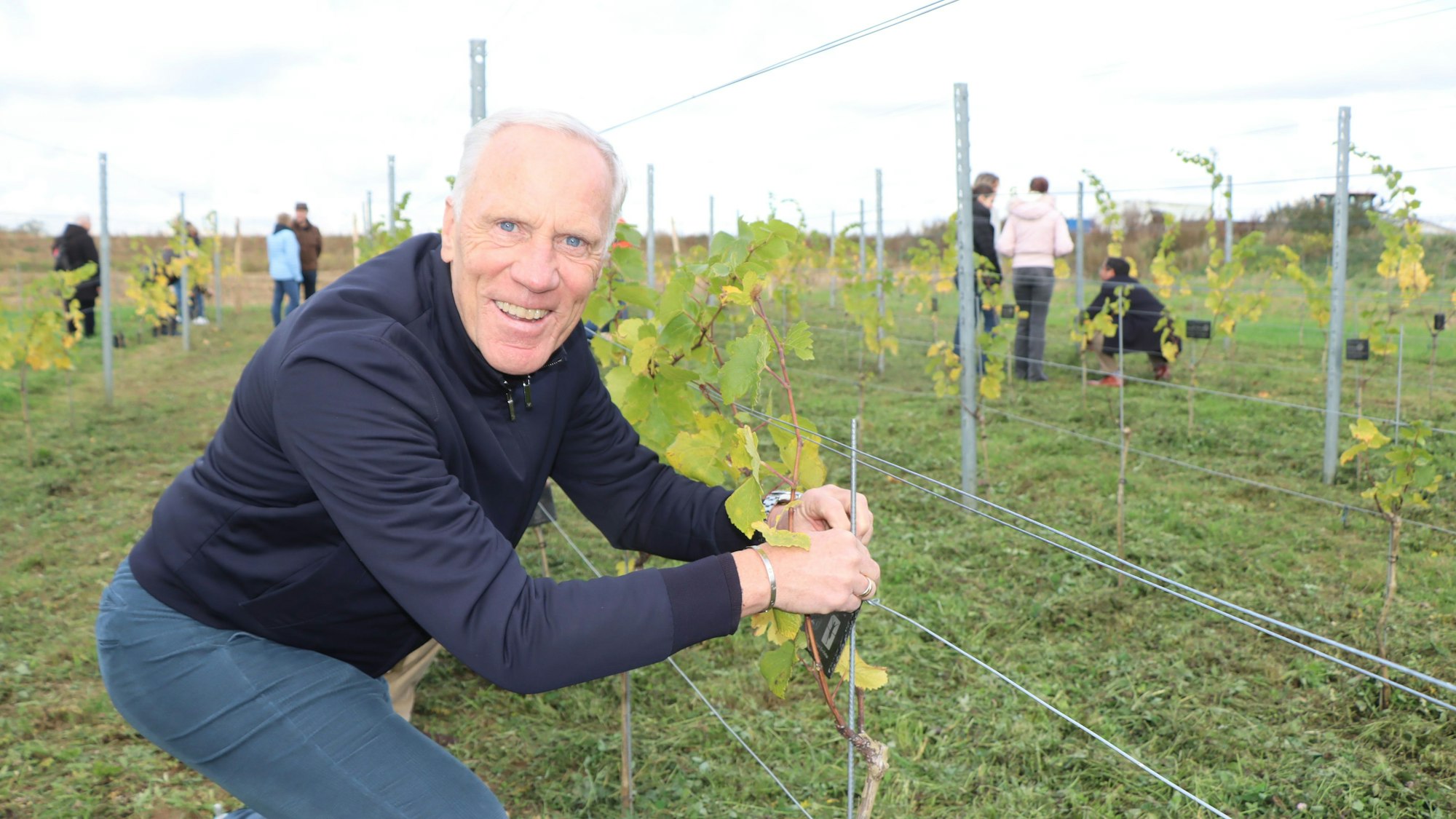 Ein Mann kniet vor einem Rebstock. Er lächelt in die Kamera.