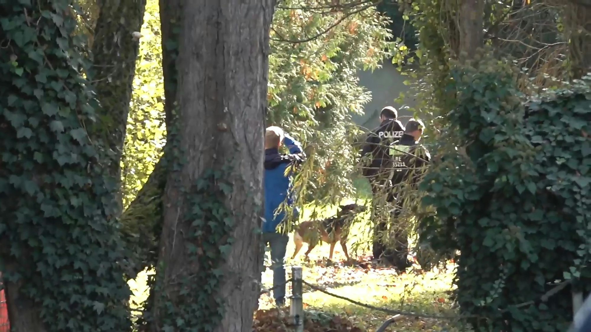 Spürhunde sind auf dem Gelände untwergs.