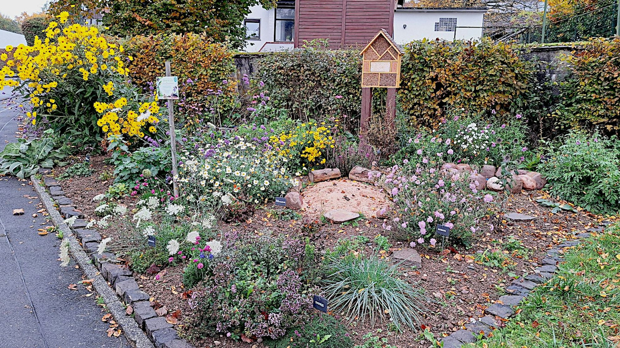 Man sieht ein größeres Beet mit heimischen Blüh- und Grünpflanzen. In der Mitte steht ein Insektenhotel aus Holz.