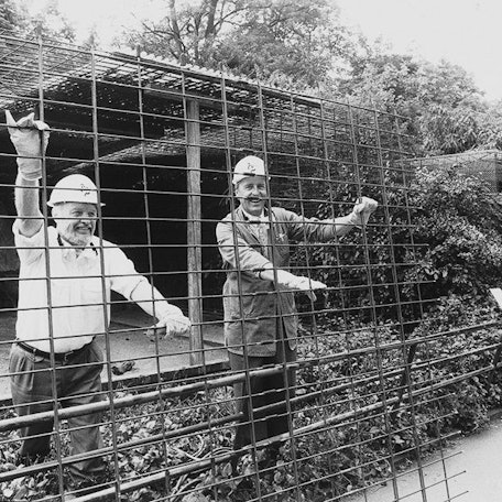 Die Zeit der Käfighaltung ist vorbei, Zoodirektor Gunther Nogge (l.) hilft 1994, die alten Leopardenkäfige zu demontieren.