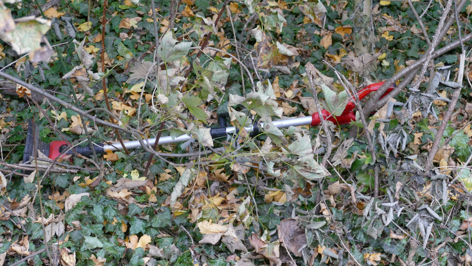 Ein Rasentrimmer liegt in einem Gebüsch auf dem Boden.