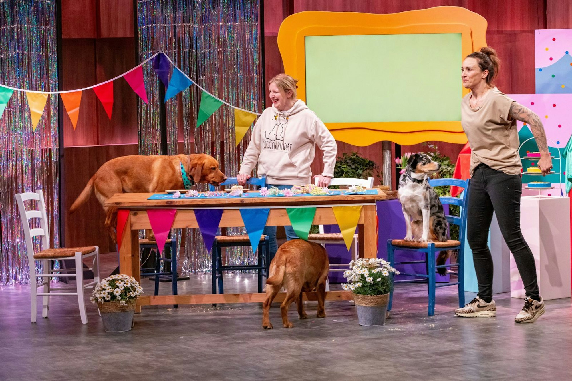 Lustiger Tumult: Wegen der vielen Hunde auf der Bühne gestaltete sich die „Doggybirthday“-Produktion zwischenzeitlich ein wenig chaotisch. (Bild: RTL / Bernd-Michael Maurer )